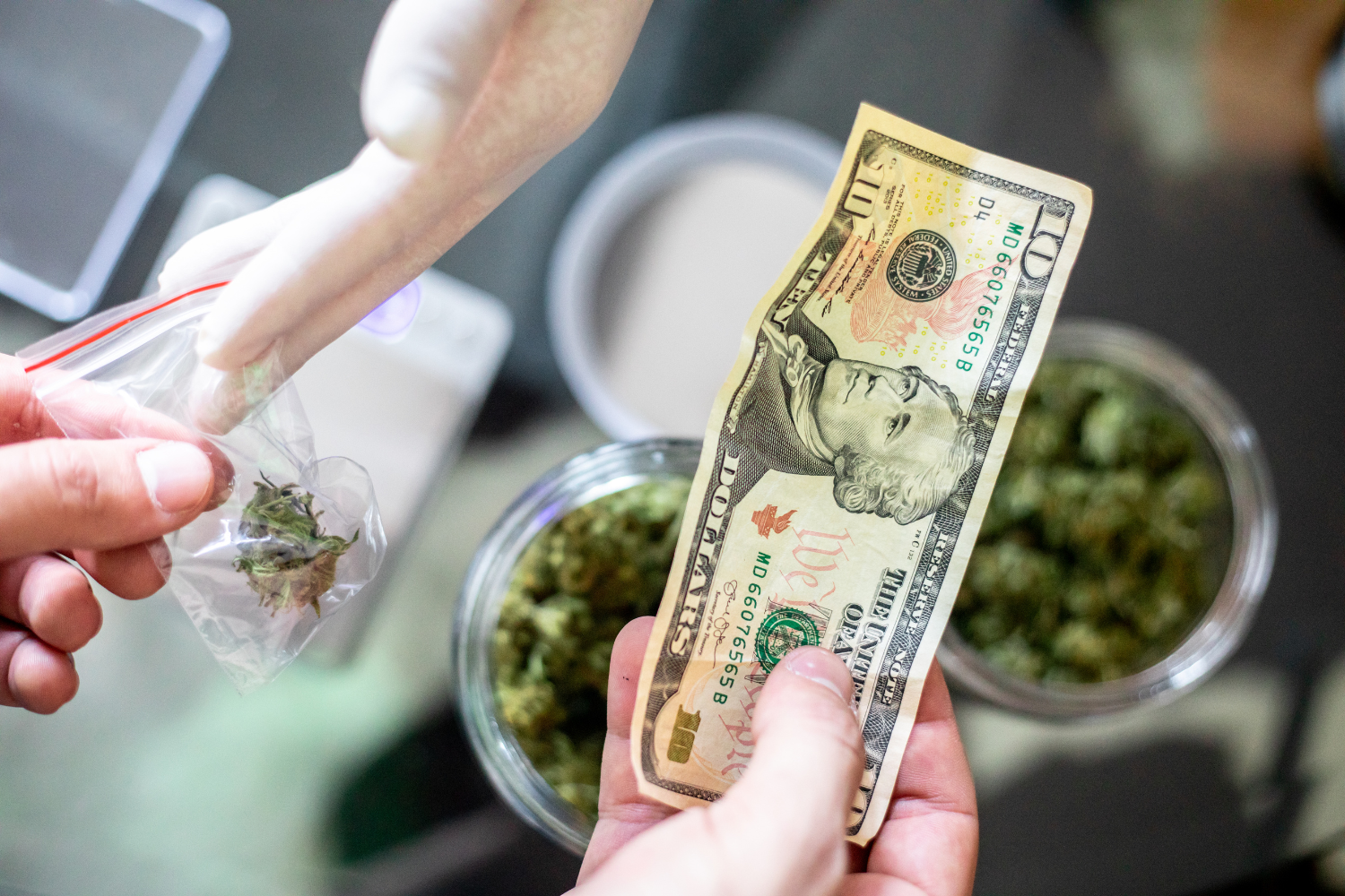 Close-up view of a customer handing a ten-dollar bill to a gloved budtender in exchange for a small plastic baggie of marijuana flower at a counter with glass jars of buds.