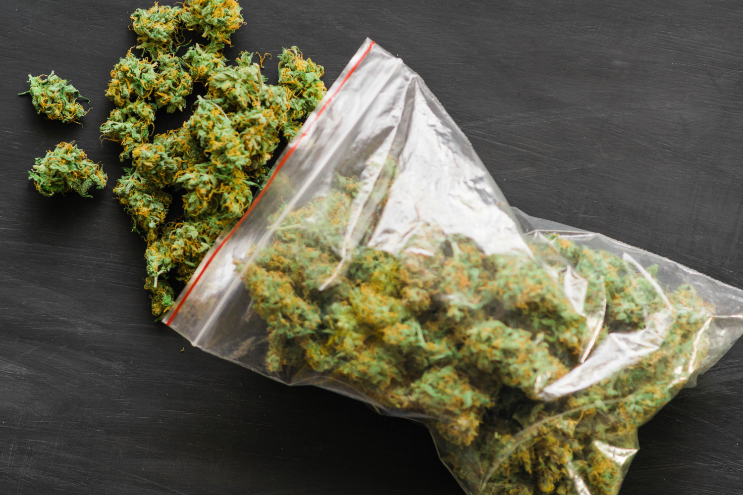 Cannabis flower in a clear bag showing how much weed is in a zip by volume.
