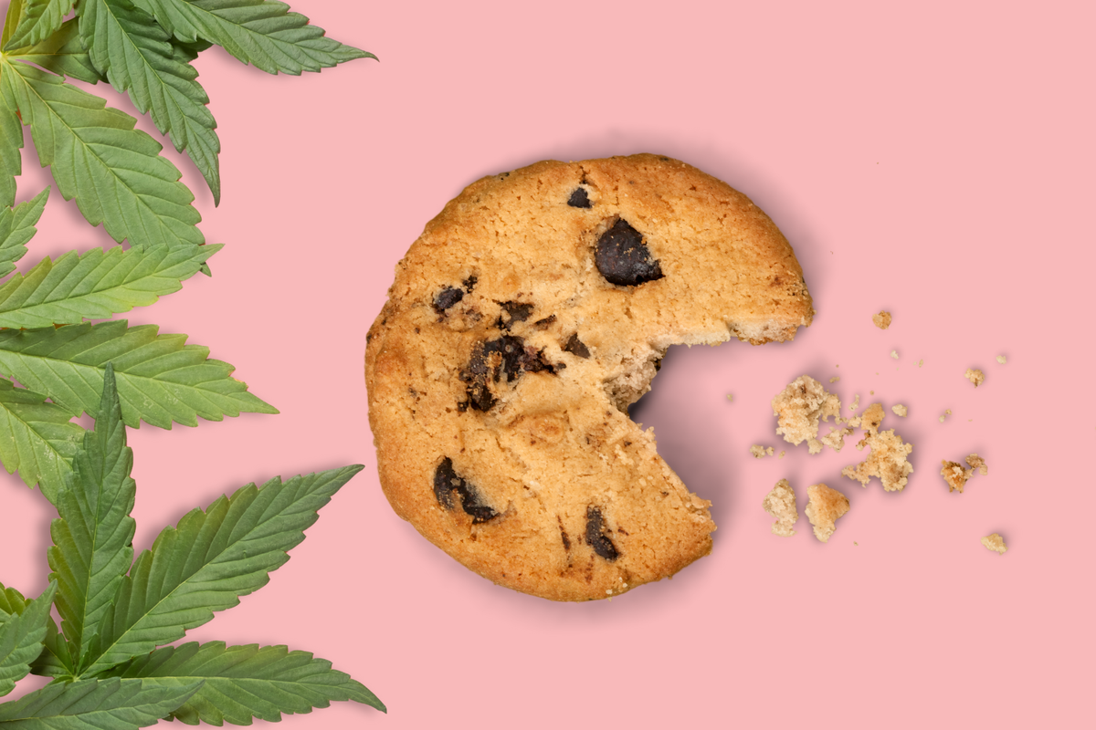Bitten weed cookie edible with cannabis leaf on pink background. A simple way to enjoy THC cookie edibles.