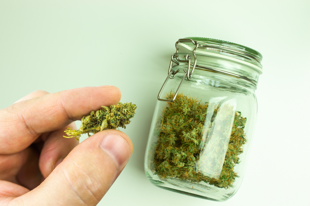 Hand holding a cannabis bud beside a closed, clamp-lid glass weed jar filled with flower.