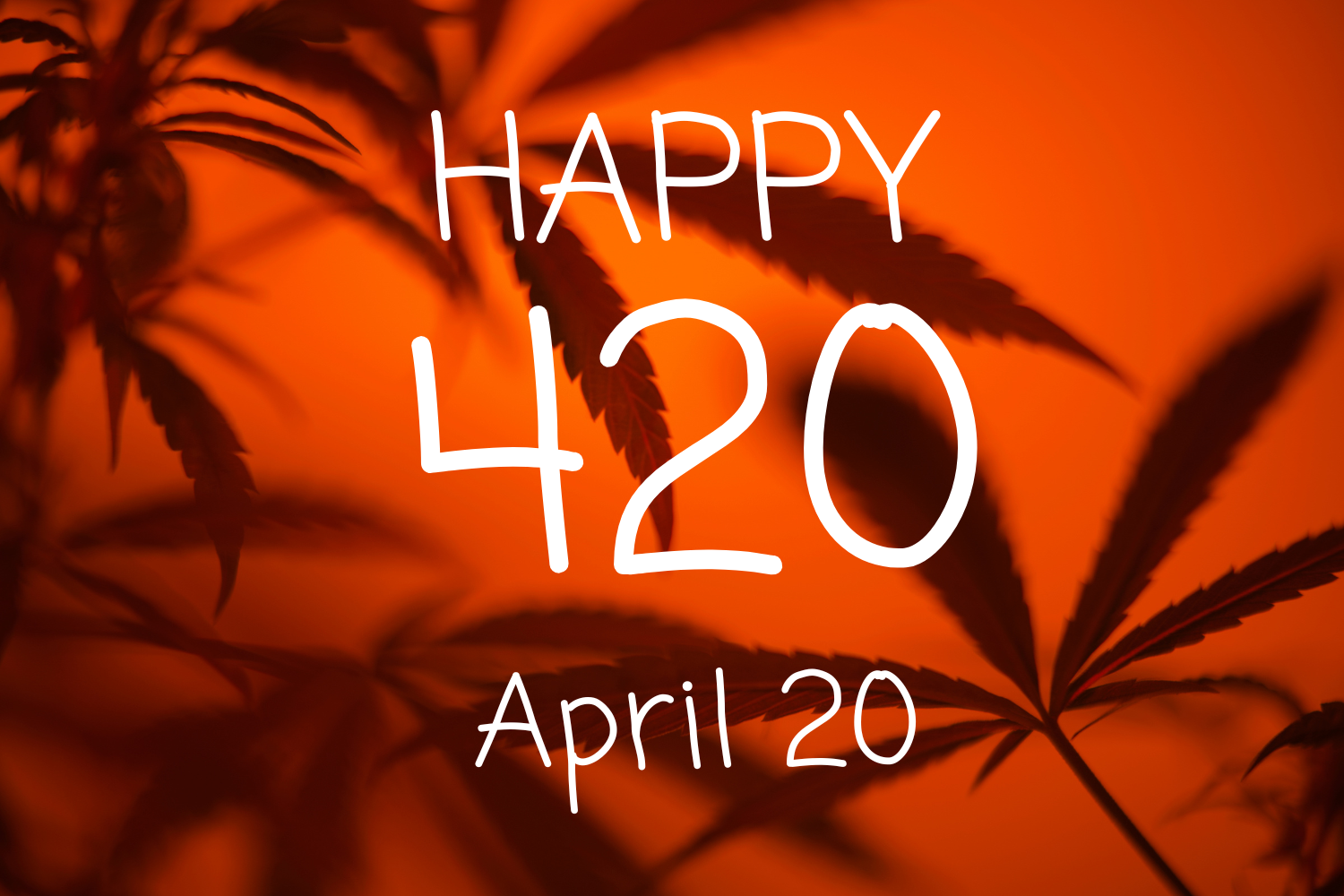 Silhouettes of cannabis leaves with text 'Happy 420 April 20,' symbolizing cannabis culture’s unofficial holiday.